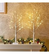 PEIDUO Christmas Decorations Indoor, 2 FT Birch Tree with LED Lights, Fairy Light Spirit Tree for...