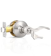 nickel entry door lever