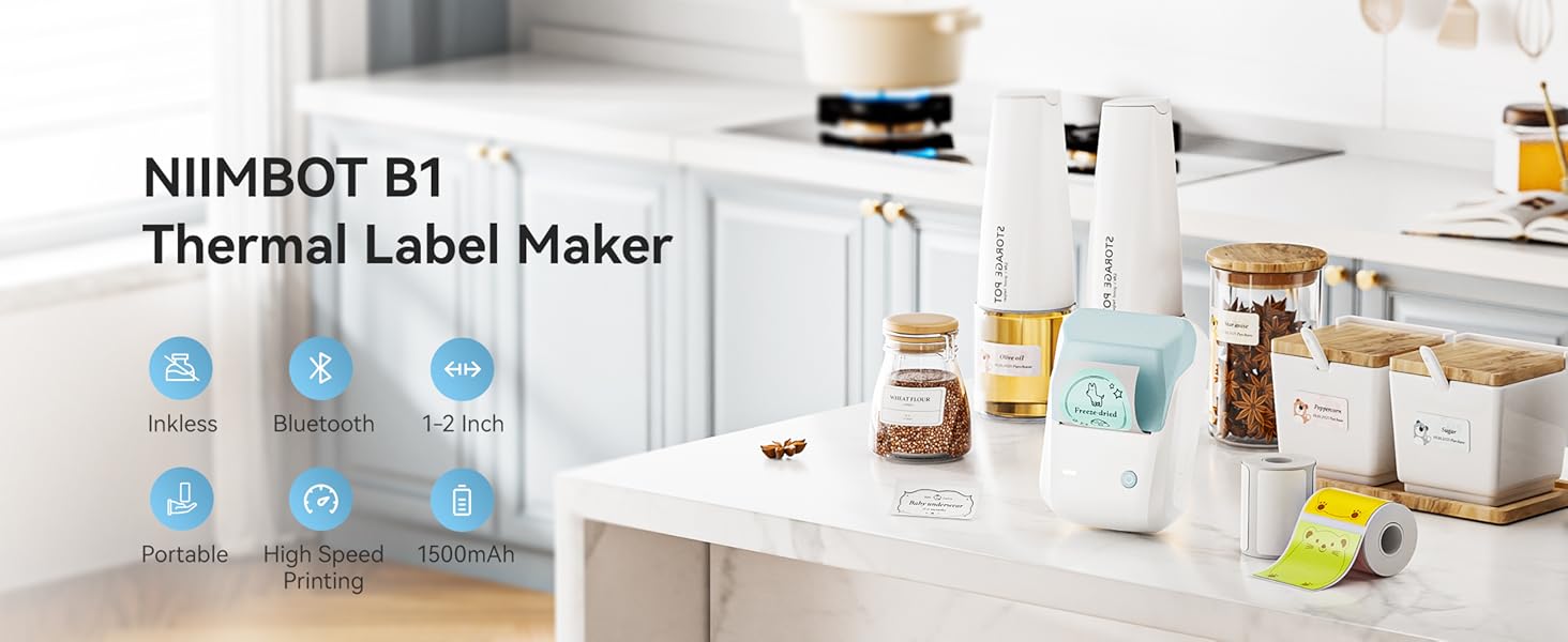 NIIMBOT 2 inch label maker for home