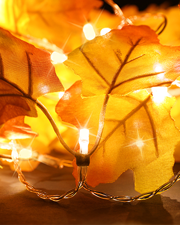 maple lights