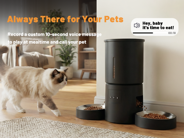 automatic cat feeders wifi