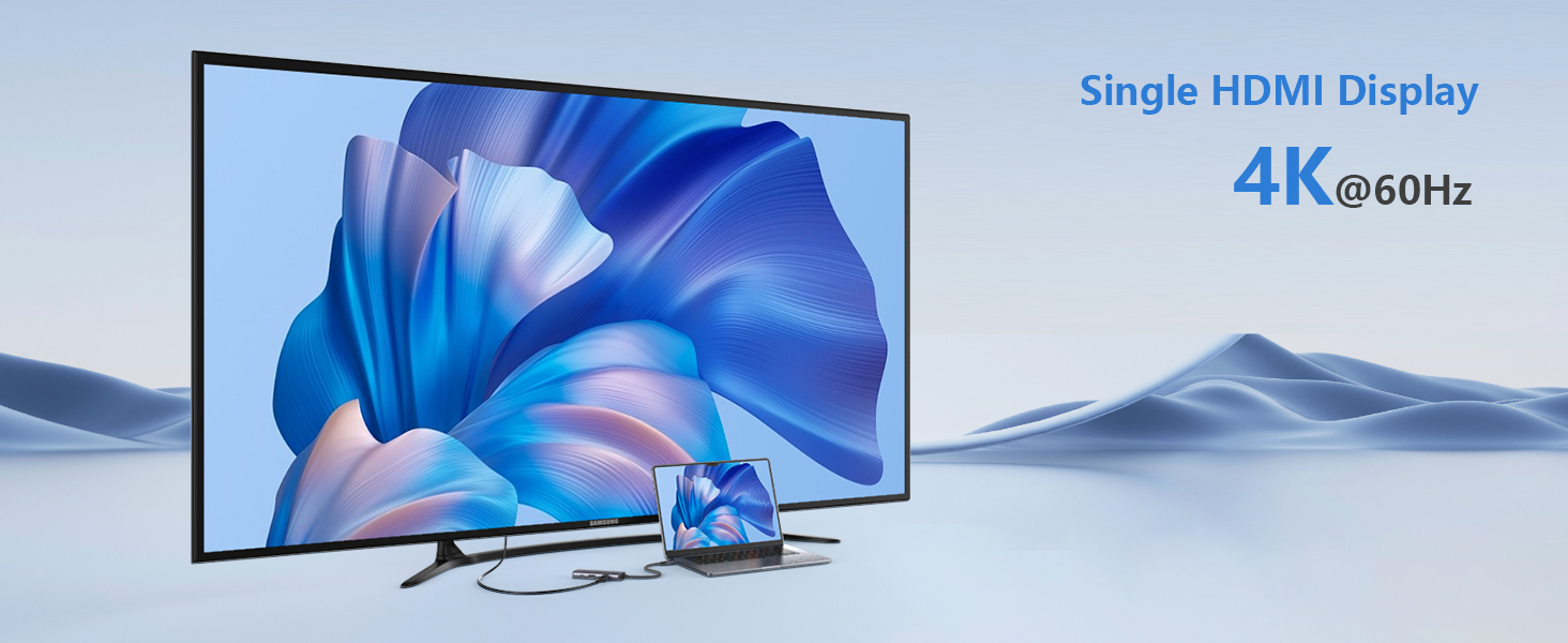 usb c to dual hdmi adapter