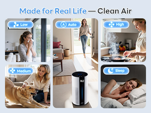 air purifier for office