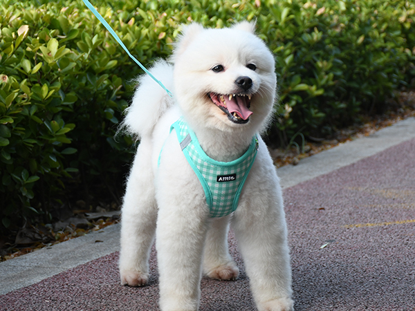 AIITLE Step-in Dog Vest Harness and Leash Set - Summer Mesh Plaid Vest Harness