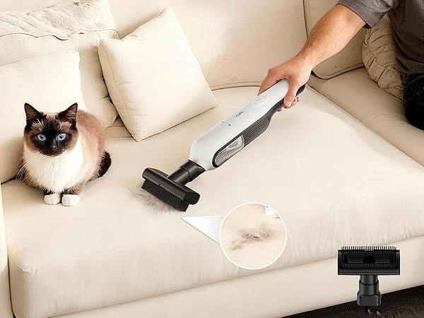 Handheld Vacuum Cordless