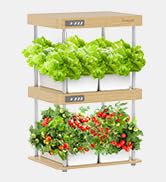GROWNEER HydroEasy1.0 Hydroponics Growing System Kit, Each Slot has Dedicated Full-Spectrum LED L...