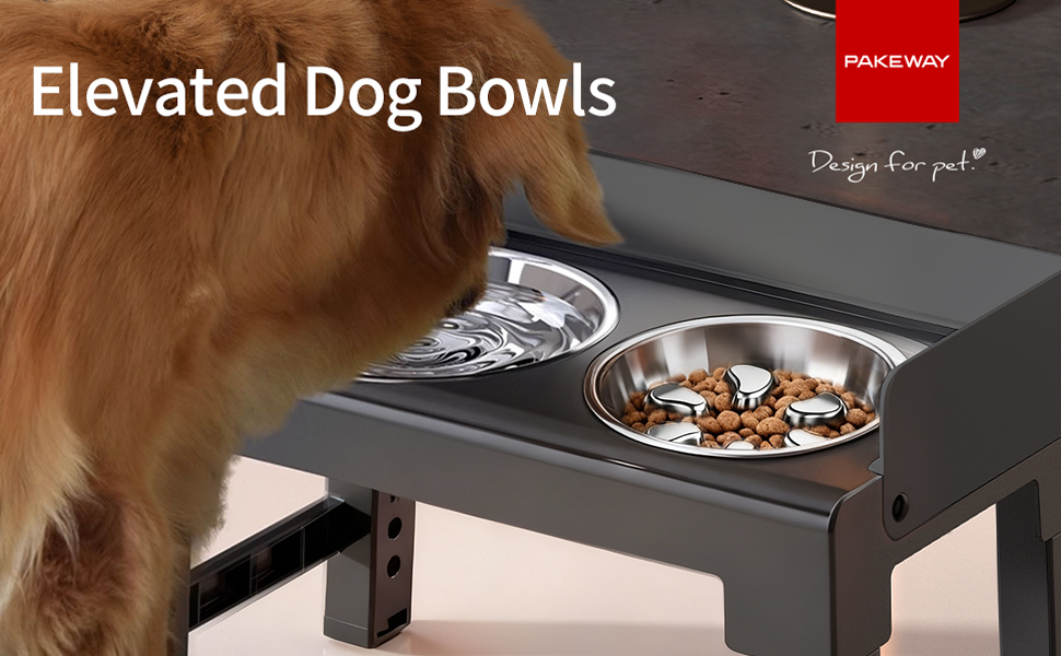 Elevated Dog Bowls