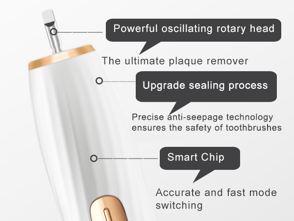 Rechargeable Toothbrush