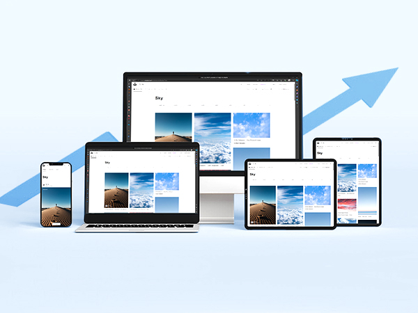 Enjoy the Wireless Network