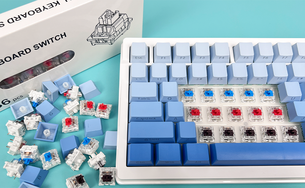 Classic Switch for Mechanical Gaming Keyboard