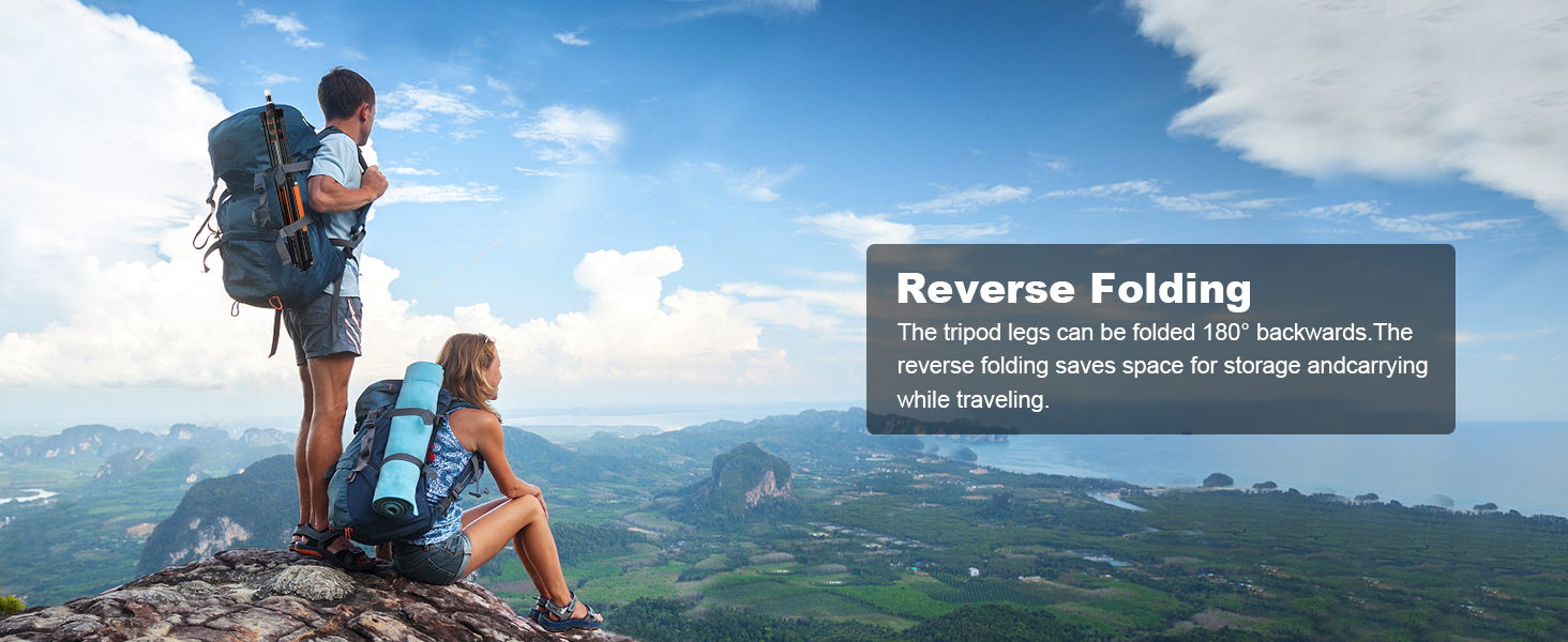 light stand with storage case