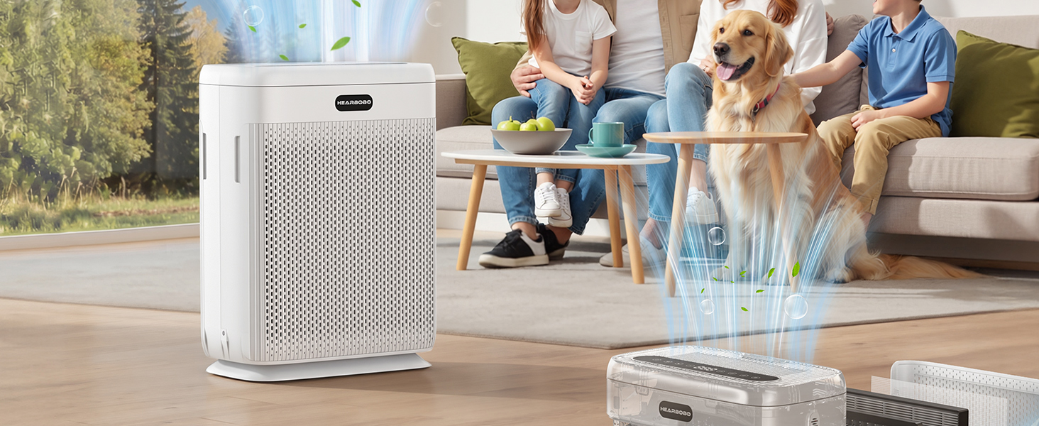 air purifier for mold