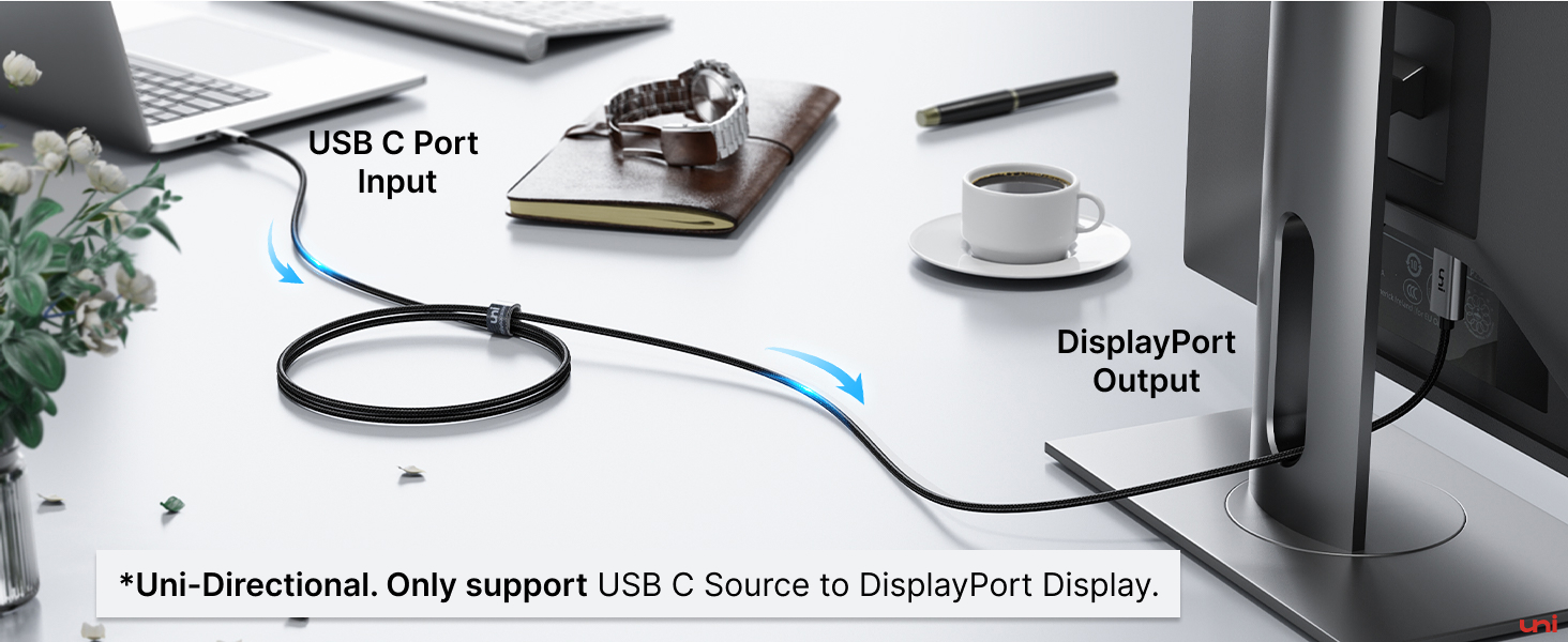 USB C to DisplayPort Cable