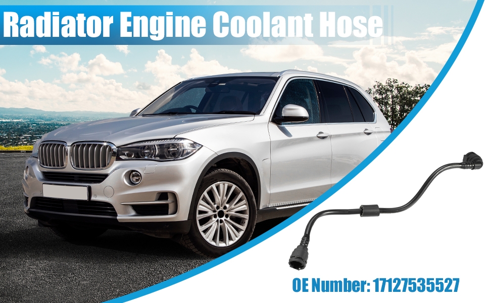 Standard Image Header With Text