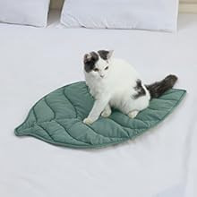 pet bed