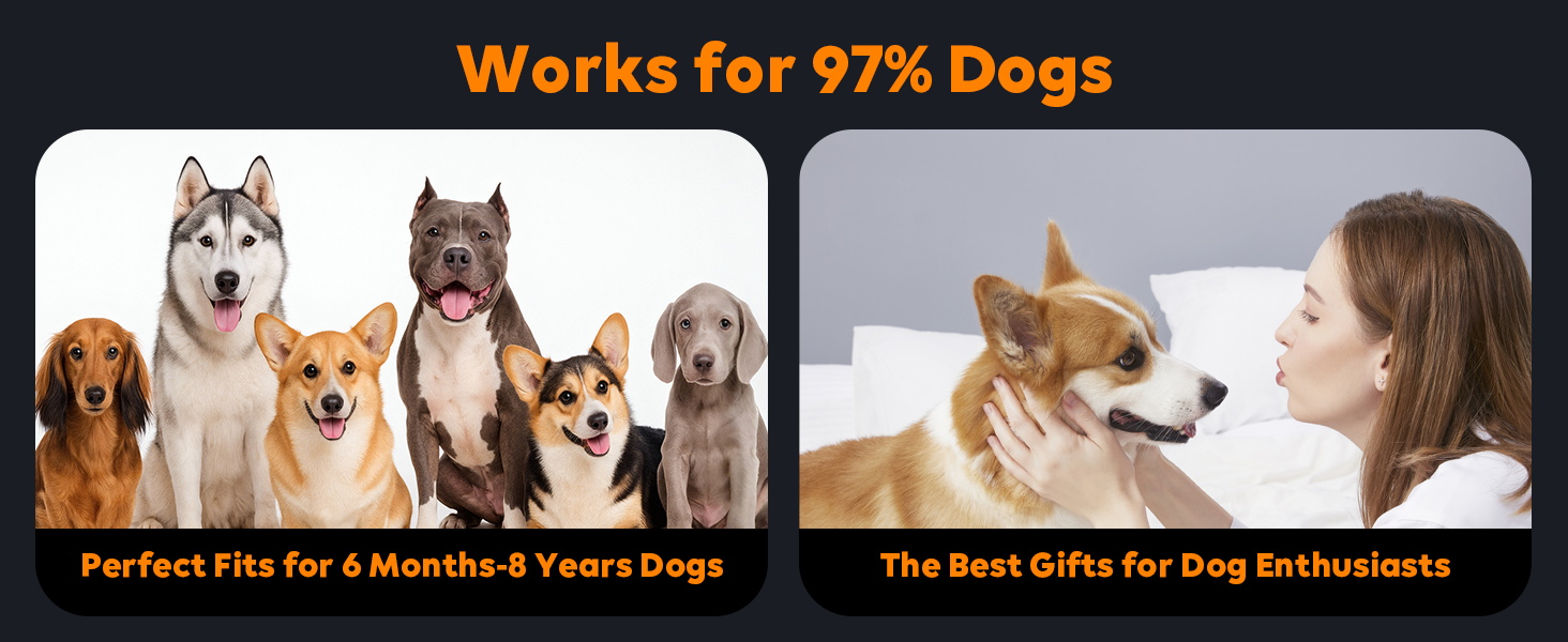 anti barking device for dogs