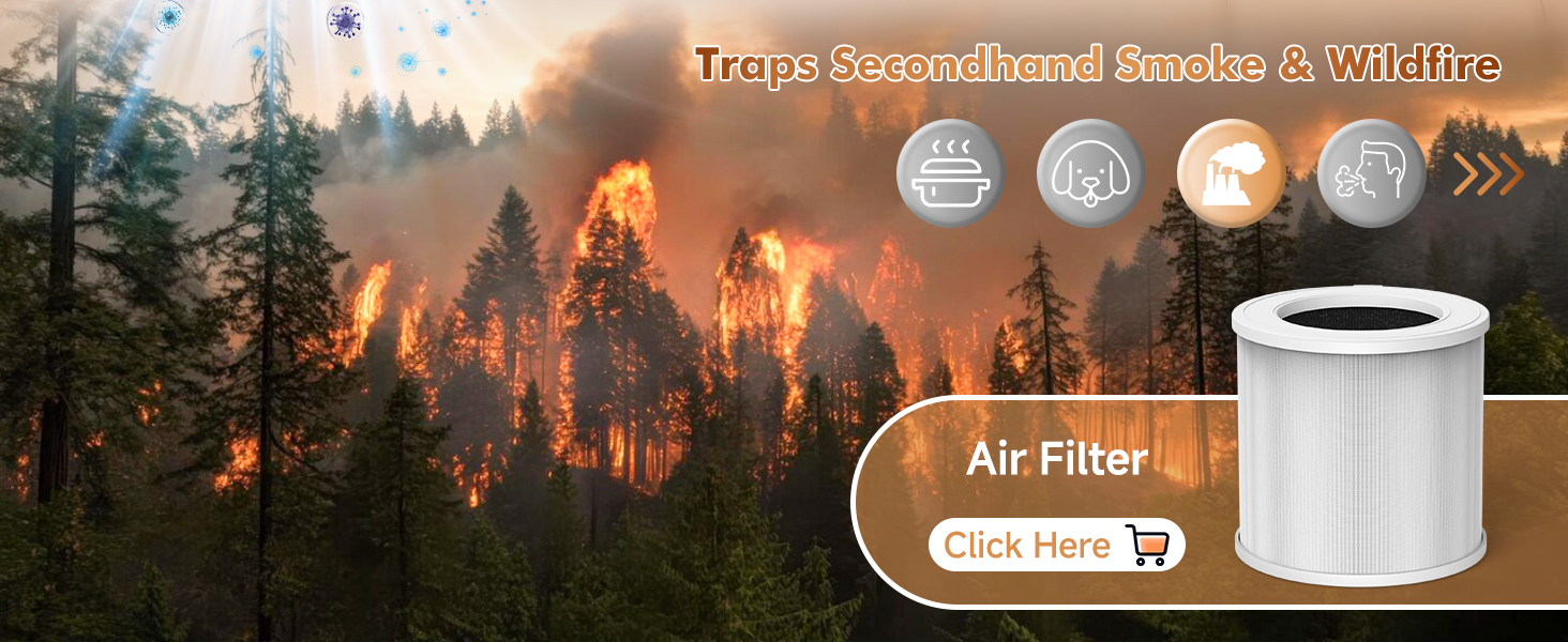 Smoke &amp;amp;amp;amp; Wildfire