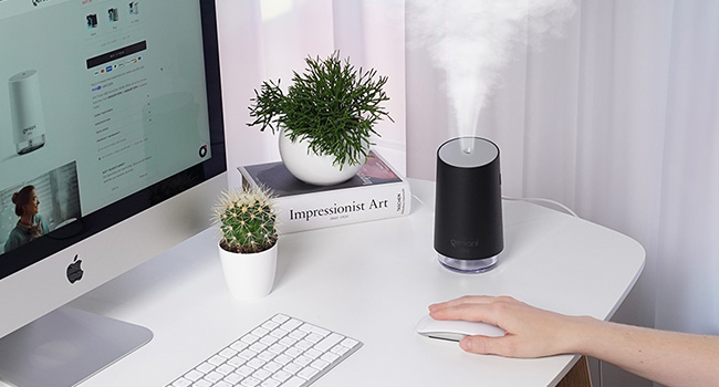 Portable Small Cool Mist Humidifiers - USB Desktop Humidifier for Plants, Office, Car