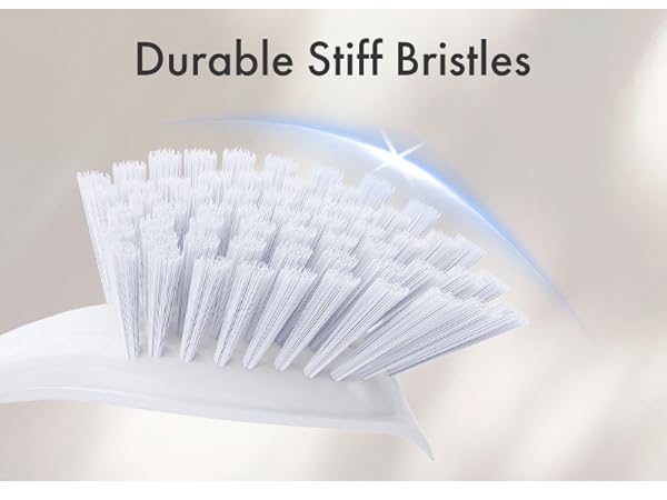 dish scrub brush