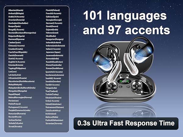 translation earbuds