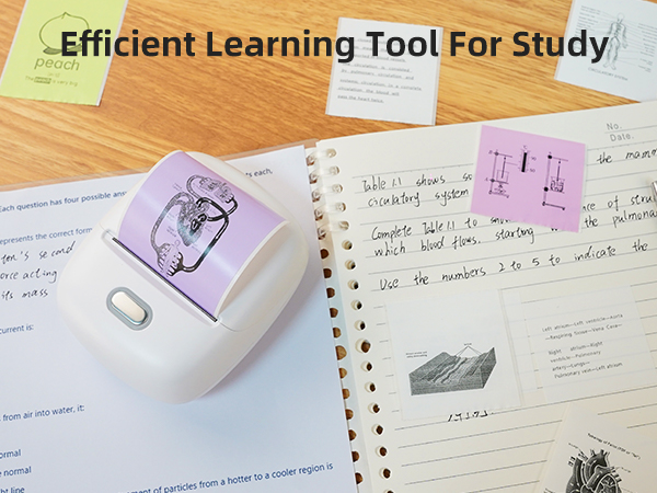 S002 sticker printer