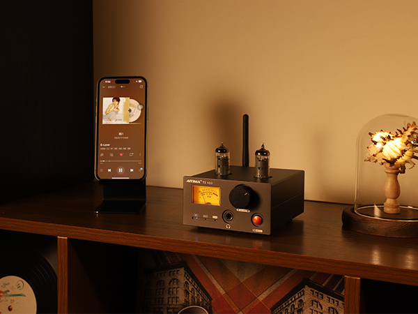 AIYIMA Audio amplifier