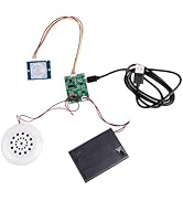 DIY Welcomer Sound Recording Board MP3 Playback Music USB Download Voice Recording Module with PI...