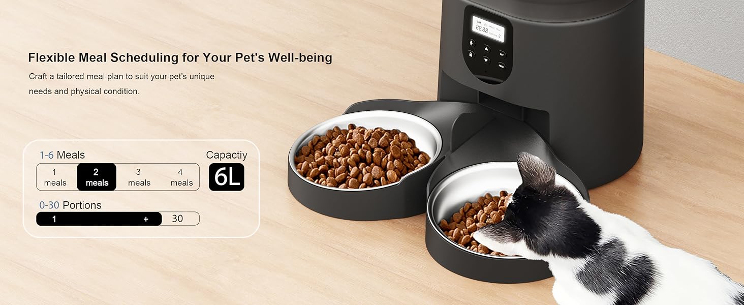 automatic cat feeder