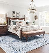 Joydeco 4x6 Area Rugs for Living Room, Non Slip Machine Washable Vintage Rug, Low Pile Chenille P...