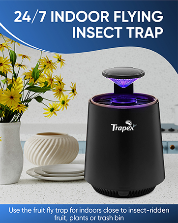 fly zapper indoor roach traps indoor salt gun fly killer fly catcher gnat killer indoor gnat trap