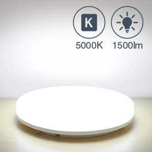 5000K led ceiling light