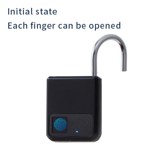 biometric lock