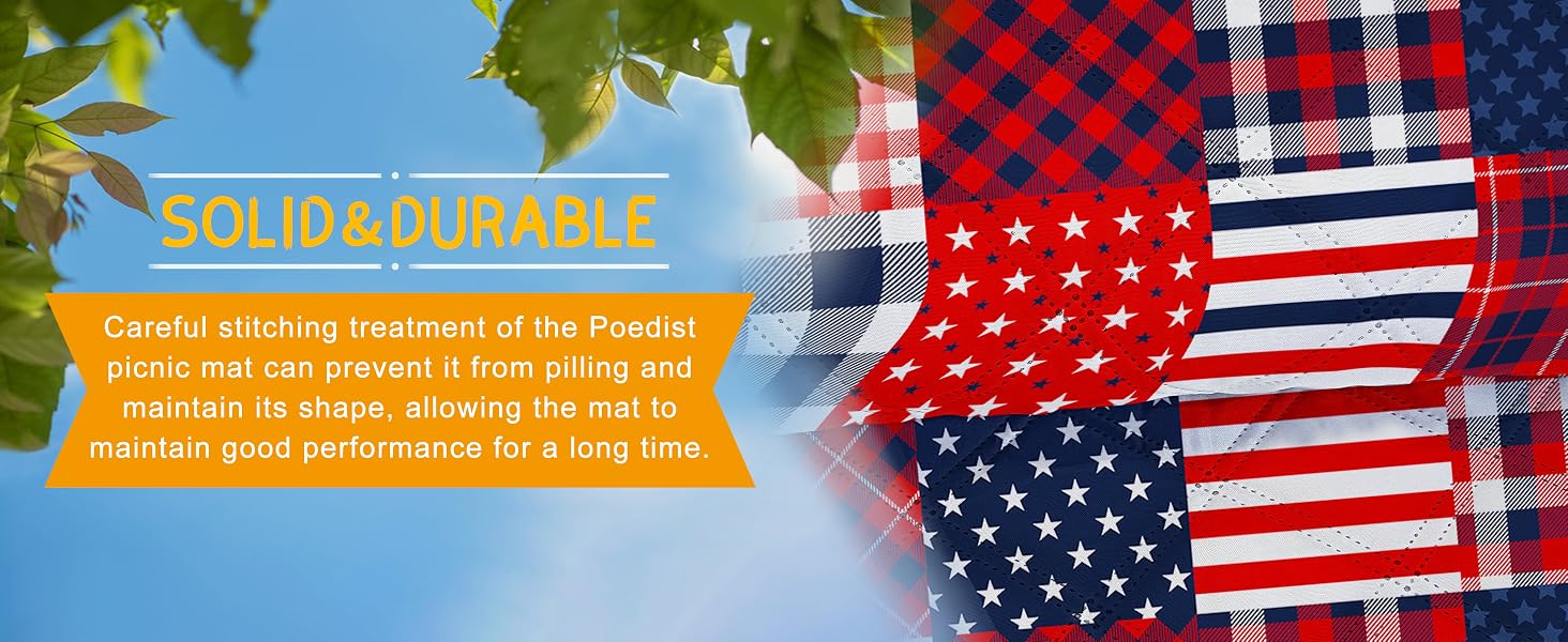 picnic mat