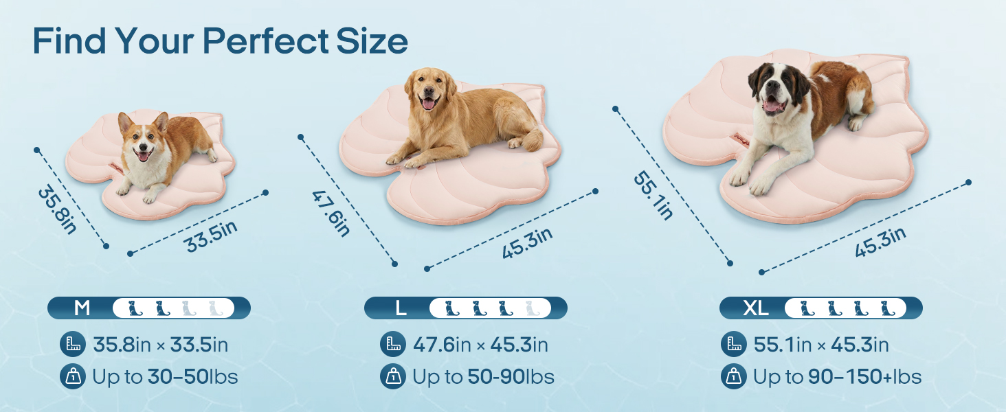 Various Sizes