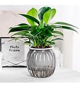 Funducts 2PCS Self Watering Planters 5.1 Inch Self Watering Pots for Indoor Plants, African Viole...