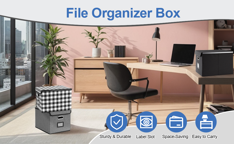 File Storage Boxes
