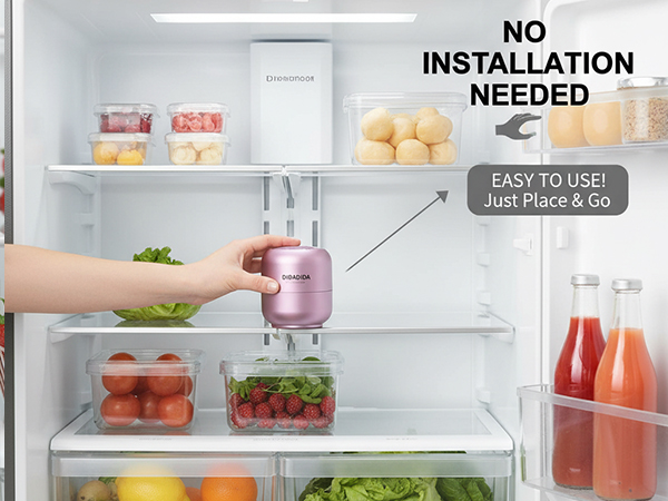 fridge air fresh