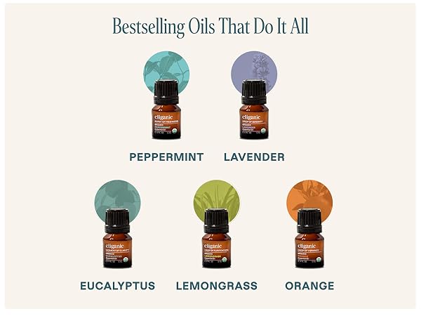 Bestselling Oil That Do It All
