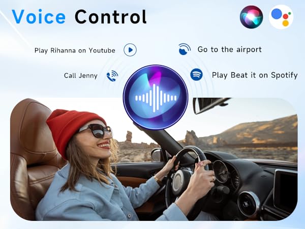 voice control