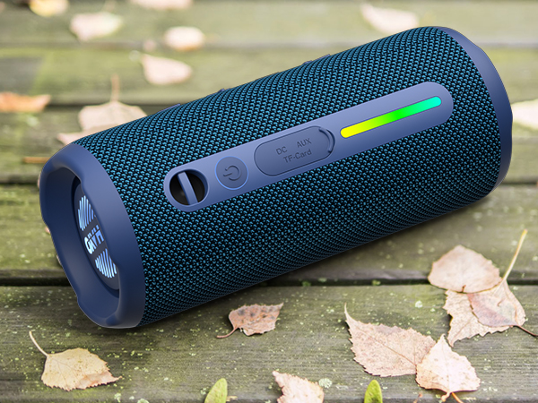 Speaker