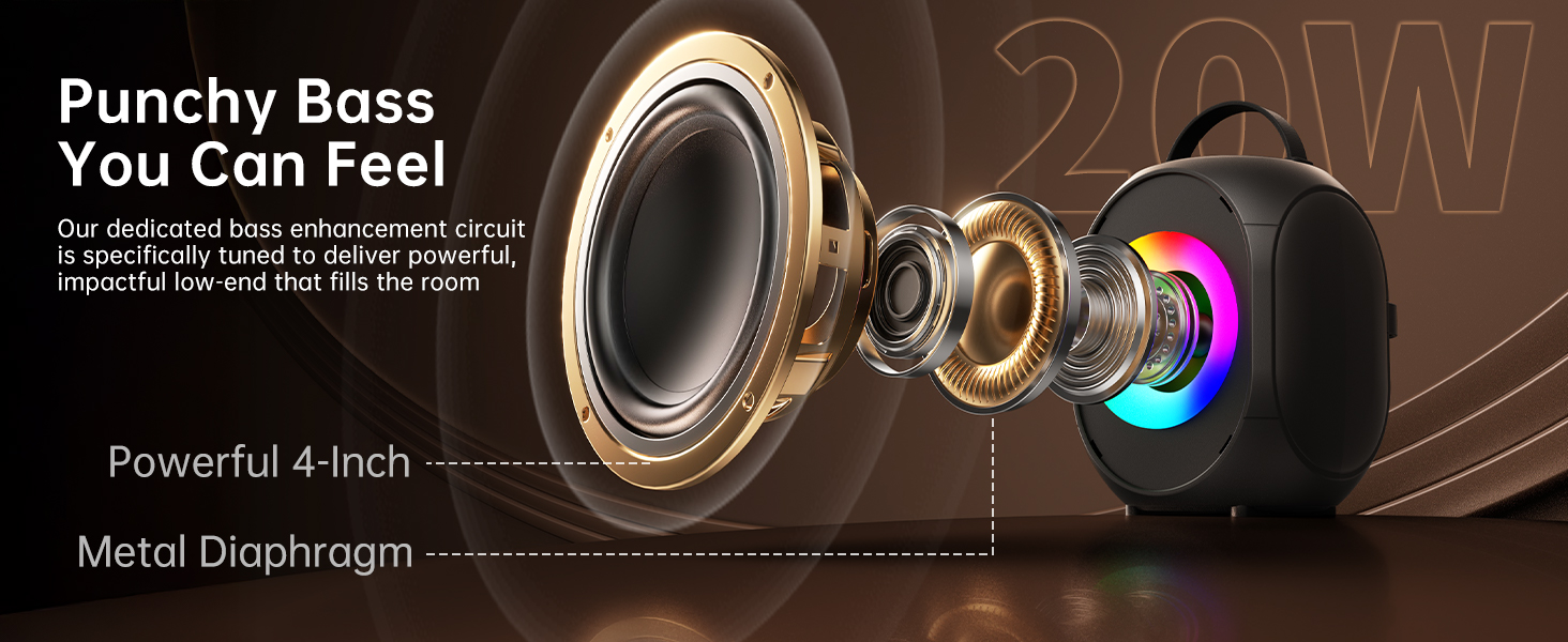 Karaoke Machine for Adults &amp;amp; Kids Portable Bluetooth Karaoke Speaker with 2 Wireless Microphones