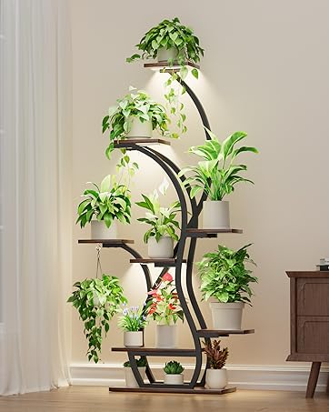 https://m.media-amazon.com/images/S/aplus-media-library-service-media/9dd6dbd5-b239-440c-88b4-1d8d355b9eaa.__CR201,0,1598,2000_PT0_SX362_V1___.jpg