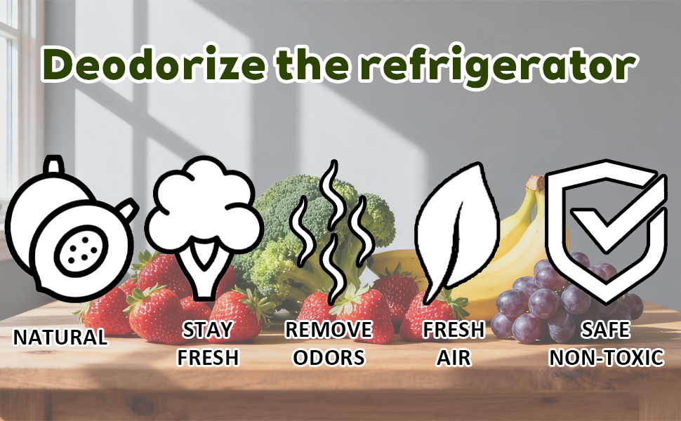 Fridge Deodorizer, Refrigerator and Freezer Deodorizer Odor Eliminator Reusable