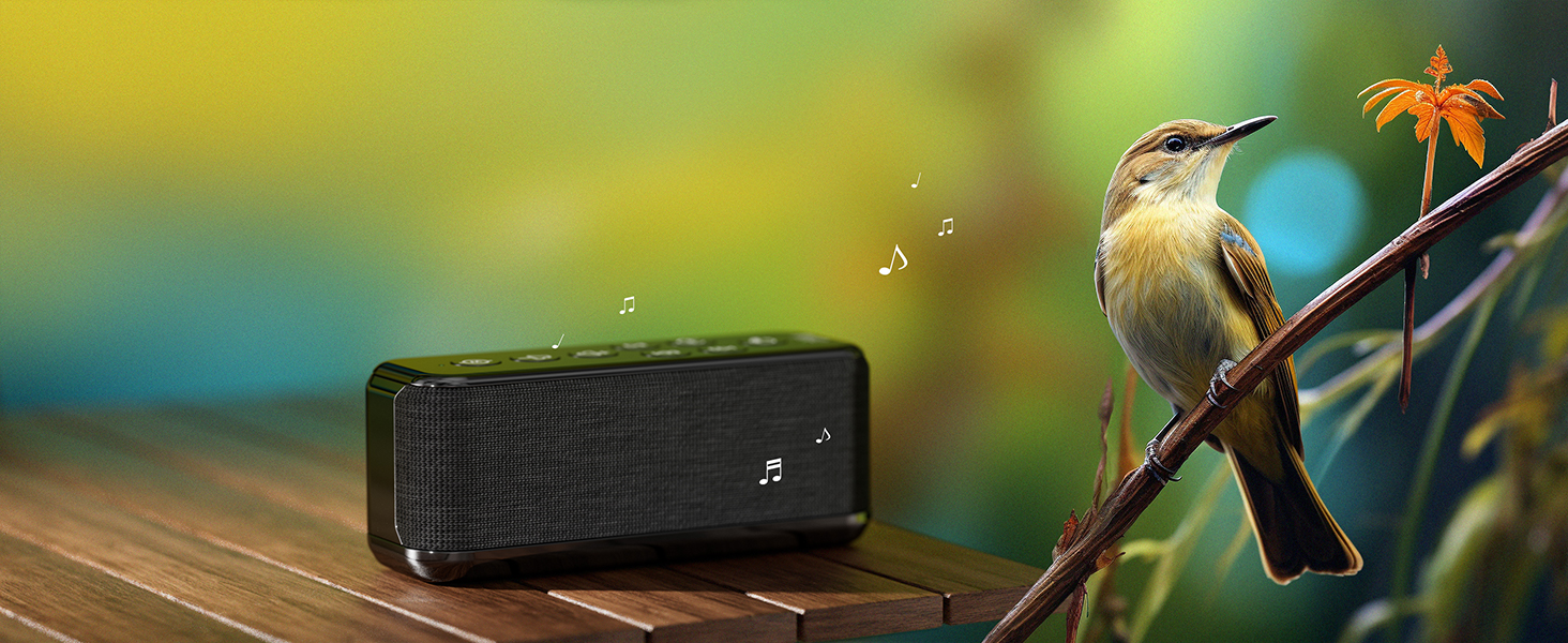 Bird Chirping