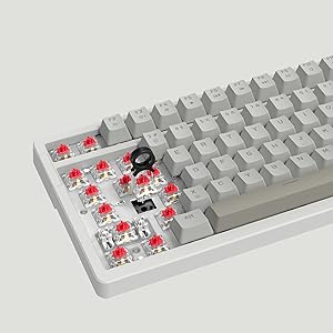 Hot-Swappable Red Switch