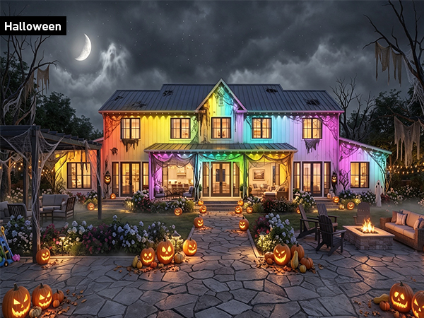 Permanent Outdoor Lights