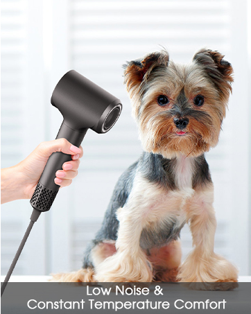 hair dryers for women professional