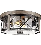 Rosient Rustic Close to Ceiling Light Fixtures, Farmhouse Wood Grain Flush Mount Ceiling Lighting...