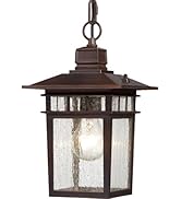 Nuvo 60/4955 One Light Hanging Lantern, UNKNOWN, Bronze/Dark