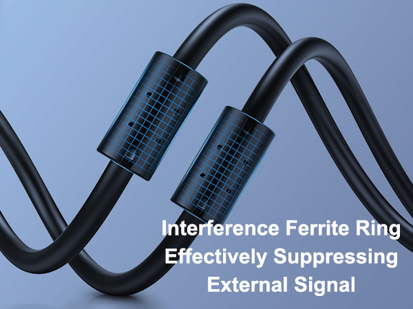 computer video camera with speaker